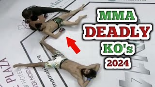 Top 20 Deadly MMA Knockouts Of 2024