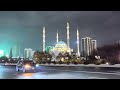25 ноября 2025 г.