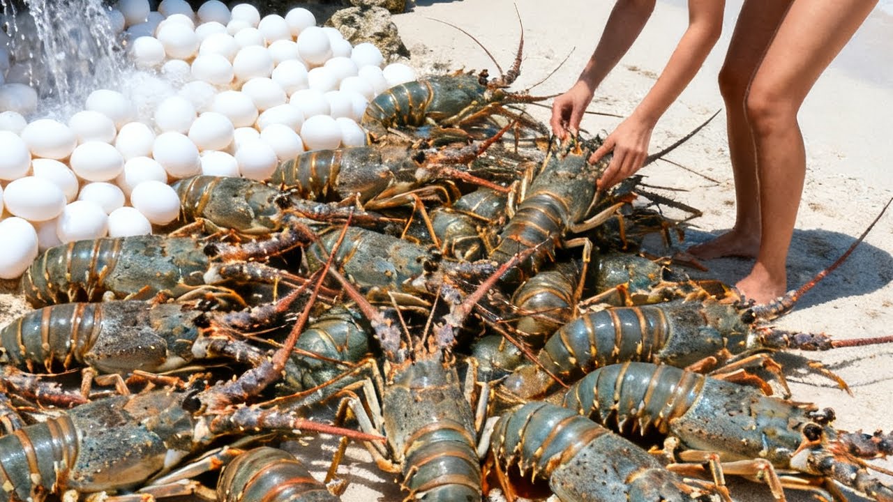 小章赶海鲍鱼龙虾捡不停，下一秒竟遇神秘白蛋，打开后竟还是双黄【赶海小章官方频道】
