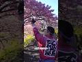 Where to See Kawazu Sakura - Minami Izu (2 of 9)