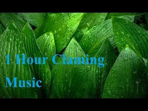 1 Hour Claming Music II Chinese Relaing Music