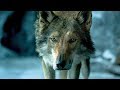 ALPHA | Trailer & Filmclips deutsch german [HD]