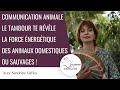 Communication animale le tambour te rvle la force nergtique des animaux  sandrine galley