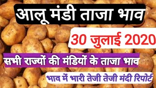 30 जुलाई आलू मंडी ताजा भाव,Potato rate today, potato price today, आलू के भाव में तेजी, potato market