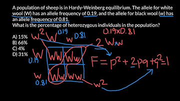 Hardy-Weinberg Formula Explained