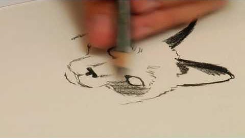 Drawing Lessons : How to Draw a Siamese Cat Portrait in Colored Conte Crayons