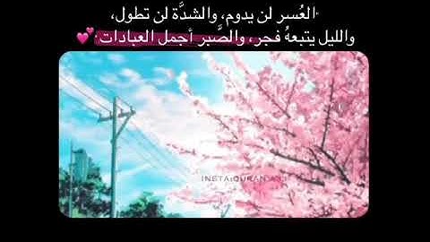 راحة نفسية 💕 || أرح سمعك قليلا 🎧 || حالات واتس اب دينية || تلاوة هادئة لشريف مصطفى|| أخمد حزنك ||