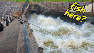 I tried to catch fish in a raging spillway?