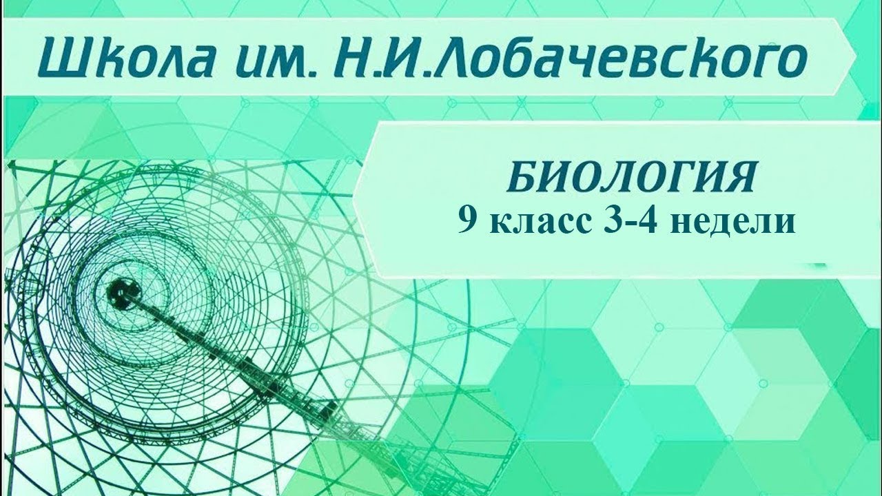 ⁣Биология 9 класс 3-4 недели. Царства живых организмов