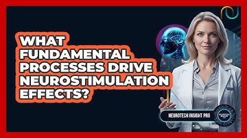 What Fundamental Processes Drive Neurostimulation Effects?