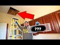 TRAPPING the Mystery Animal LIVING in My ATTIC!!! (What Is It?)