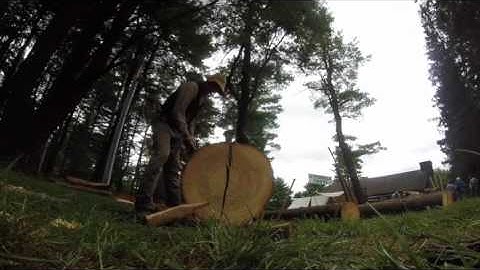 Splitting a 24" salvaged ash log for split rail fence by Van Wagner