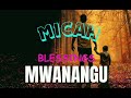 MWANANGU Official Music Micahblessings Animation Duet Music Giveusourstolenmoneyback