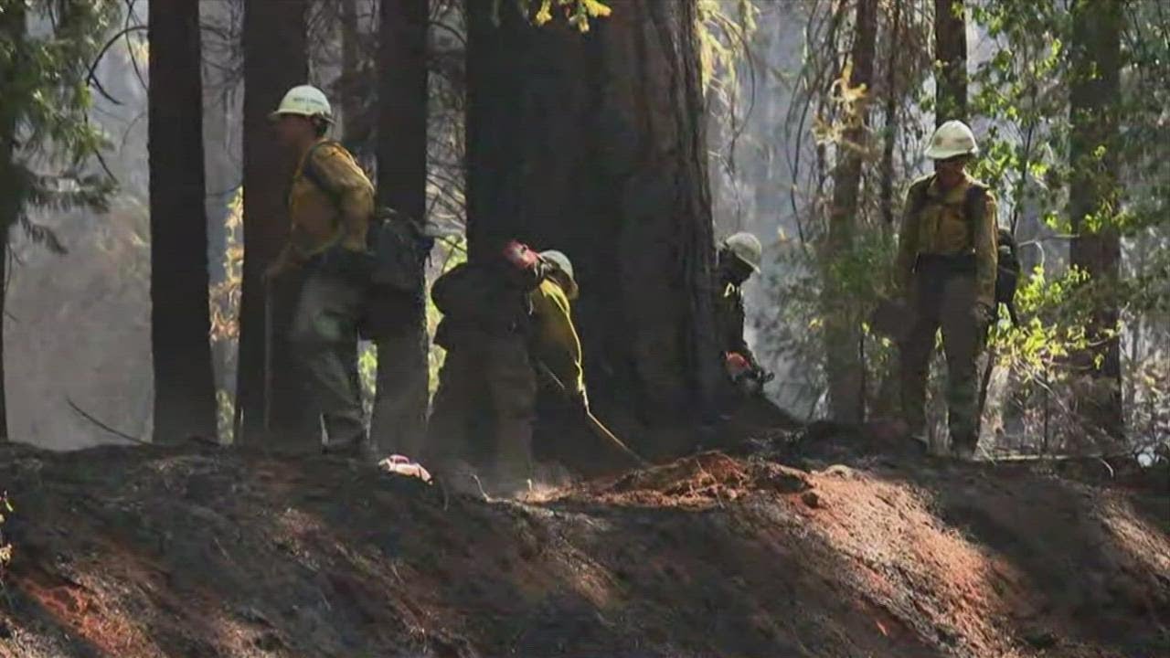 Placer County Hill Fire contained, evacuation warnings still in effect ...