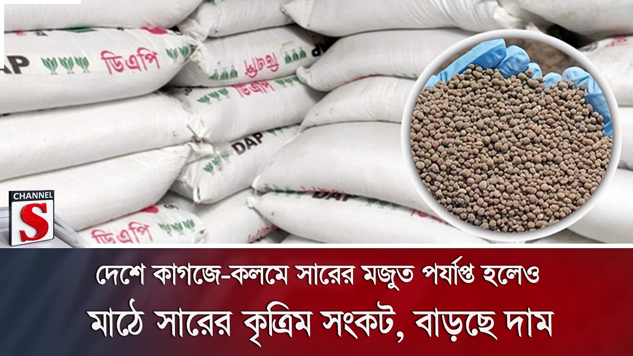 দেশে কাগজে-কলমে সারের মজুত পর্যাপ্ত হলেও মাঠে সারের কৃত্রিম সংকট, বাড়ছে দাম | Channel S News