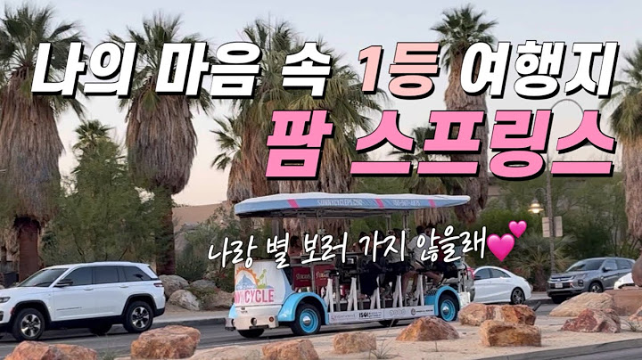 🇺🇸 미국 서부 주부가 추천하는 여행지! Palm springs 그리고 조슈아트리에서 별 보기 (ft. 4세 어린이와 함께하는 여행)