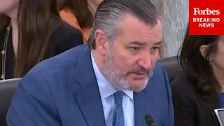 Ted Cruz Questions FTC Chair About Government Interference In College Sports
