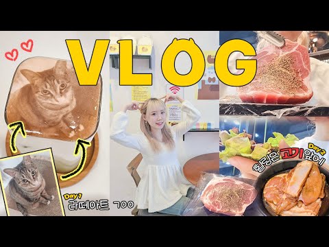 VLOG: 사진 그대로 <strong>라떼아트</strong>☕️ 문래 카페, 영일분식 | 힐링은 고기 앞에🥩 명륜진사갈비