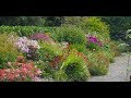 Our Herbaceous Border Our Herbaceous Border