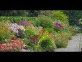 Our Herbaceous Border