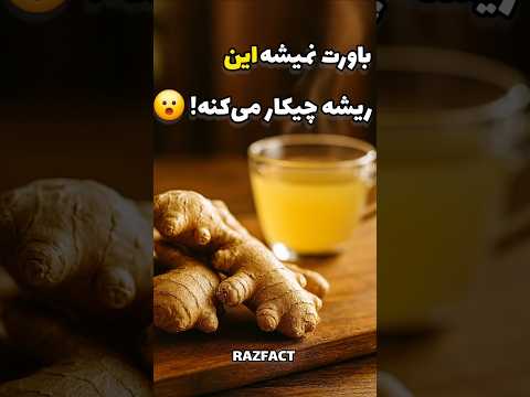 باورت نمیشه زنجبیل با بدنت چیکار می کنه خواص شگفت انگیز زنجبیل رازفکت دانستنی طب سنتی 