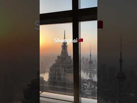 My Travels In 2025 Shorts Travels 