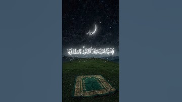 ماتيسر من سورة المؤمنون #ياسر_الدوسري #القرآن_الكريم #yasseraldossary #quran #fyp