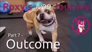 Roxy's IVDD Journey: Part 7 - Outcome by The Dog Wellness Centre 1,403 views 1 year ago 1 minute, 43 seconds