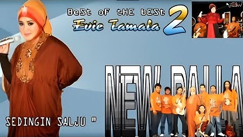 Evie Tamala -SEDINGIN SALJU- New Pallapa (official video)