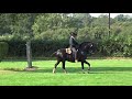 Hickstead 6 ...Ricardo&#39;s Dressage Display.