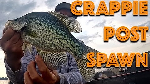 Post Spawn Crappie Fishing (2025 Crappie Fishing)