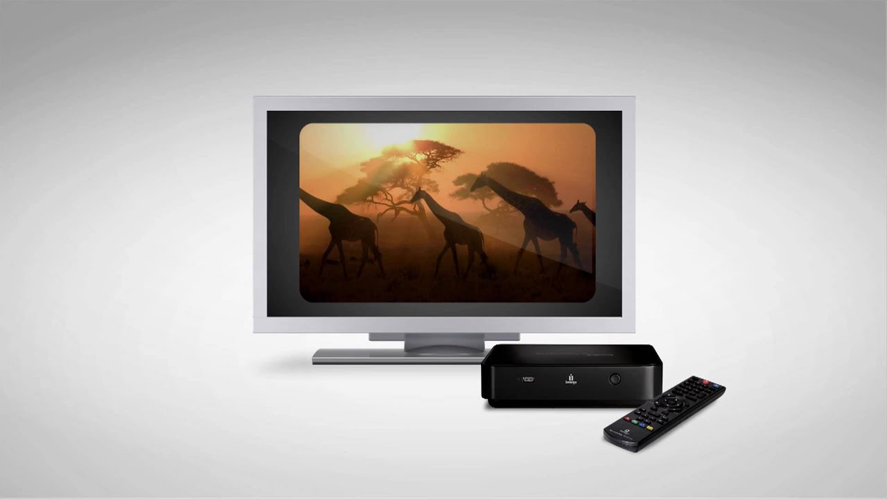 IOMEGA ScreenPlay Director TV Tuner 1 To - Fiche technique, prix