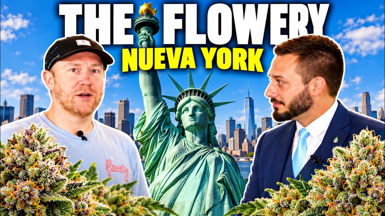 ENTRÉ A UN DISPENSARIO LEGAL DE MARIHUANA EN NUEVA YORK 🇺🇸🌿