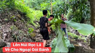 Cùng Tài bánh tét lên núi rọc lá chuối về cho ngoại gói bánh