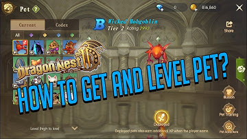 Dragon Nest 2 Evolution How To Get & Level Pet