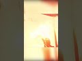 It said peek.. #readyornot #gaming #gameplay #twitch #fyp #foryou #livestream #shorts