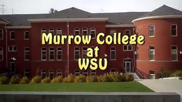 MeaganBaron Class 210 Video Tutorial 1