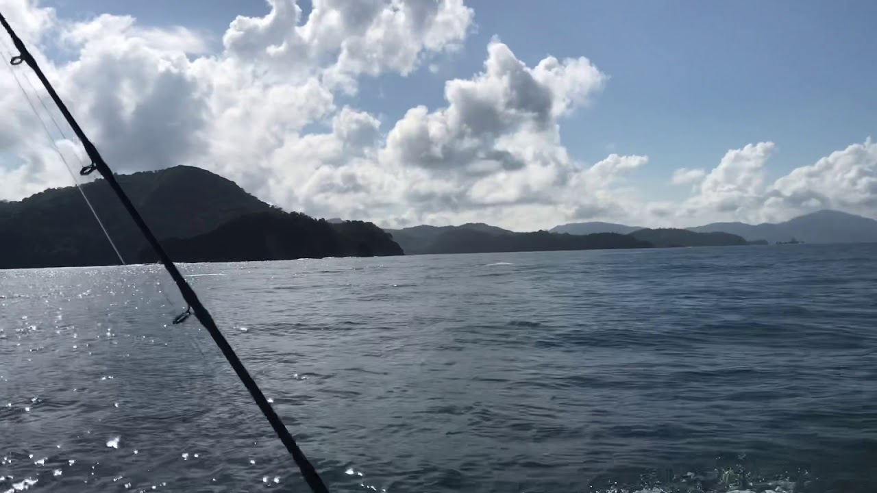 Orcas, Costa Rica YouTube