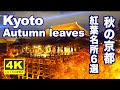 4K 京都の紅葉名所 6選 JAPAN  Autumn Leaves Kyoto 京都観光 旅行 秋 嵐山 醍醐寺 毘沙門堂 清水寺 宝厳院 trip Amazing 日本