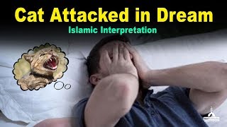 Cat Attacked in Dream - Islamic Interpretation