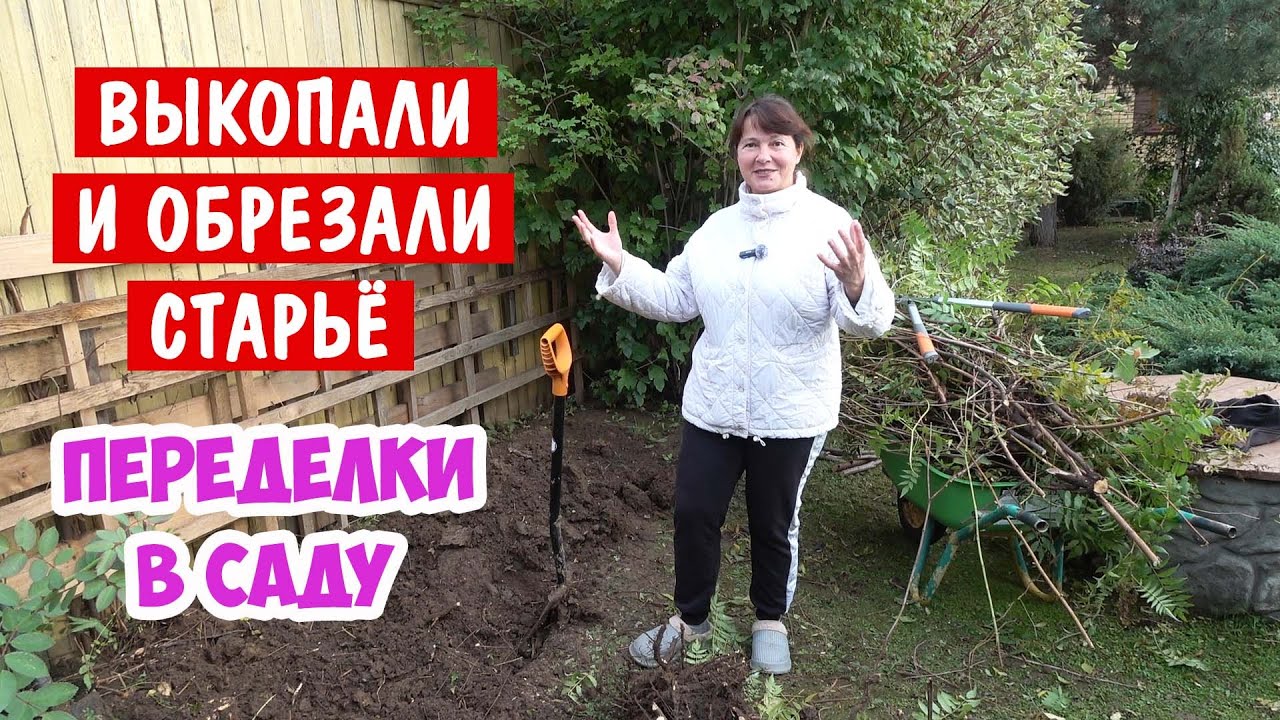 Что мы натворили? Обрезали и убрали то, что росло 16 лет 🙈 Переделки в саду.