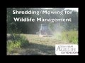 Shreddingmowing for wildlife management in texas