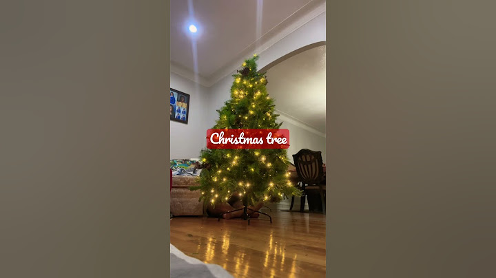 It took me 3 days to put up the Christmas tree.