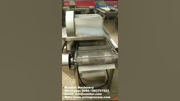 How to Cut Green Onion Spring Root-Best Machine to Cut Onion Root