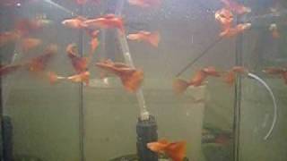 CIMG0059.AVI