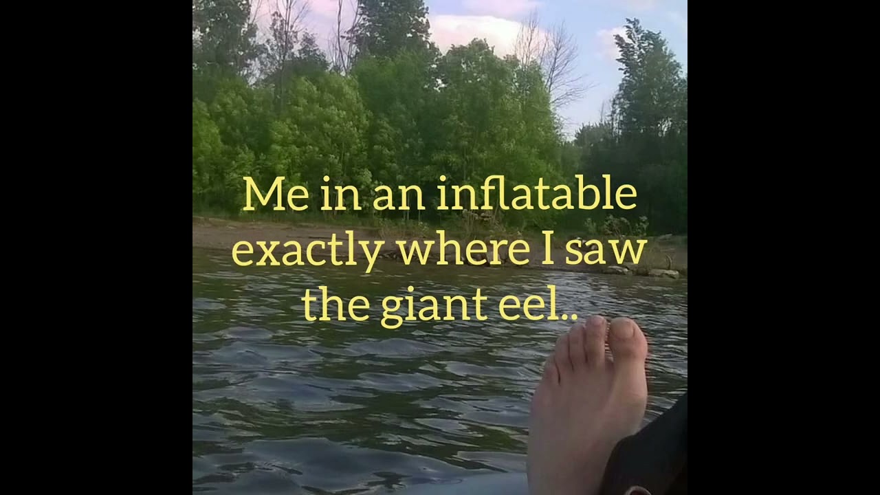 North American Lake and River Monsters! 