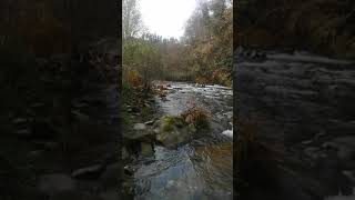Río Esva tramo Ese de Calleras - Area recreativa
