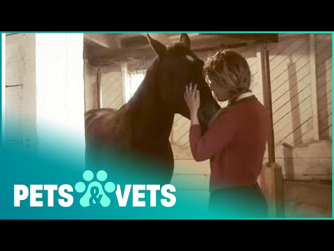THE HORSES THAT CHANGED TWO WOMEN'S LIVES