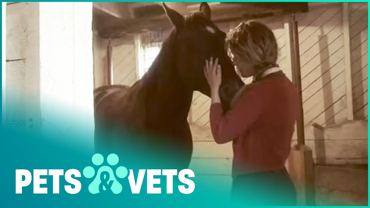 The Horses That Changed Two Women's Lives | Pet Heroes