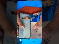 vivo y 20 combo change 👍
